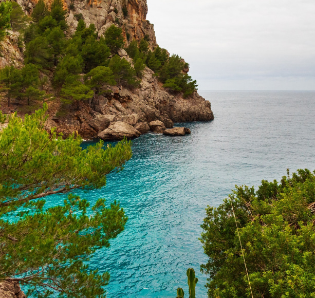 Vista desde un acantilado a una de las calas de Mallorca