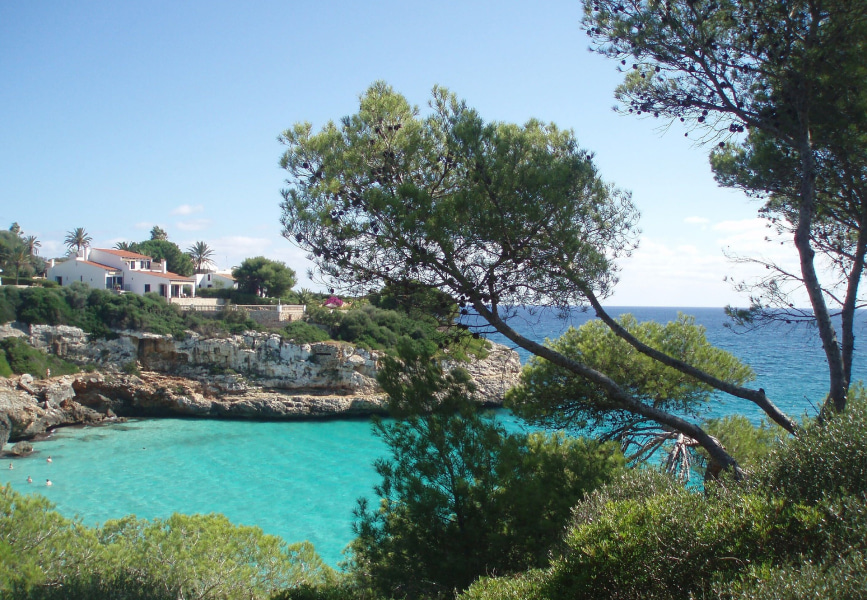 Blick auf Cala d'Or von einem nahe gelegenen Pinienwald aus